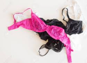 Beginning Bra Fitting and Construction [Class in Houston